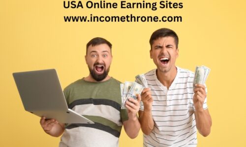 USA Online Earning Sites: Top Platforms to Make Money from Home